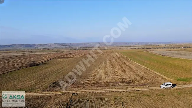 One plot of land measuring 15,800 square meters in the village of Edirne Havsa Bakışlar.