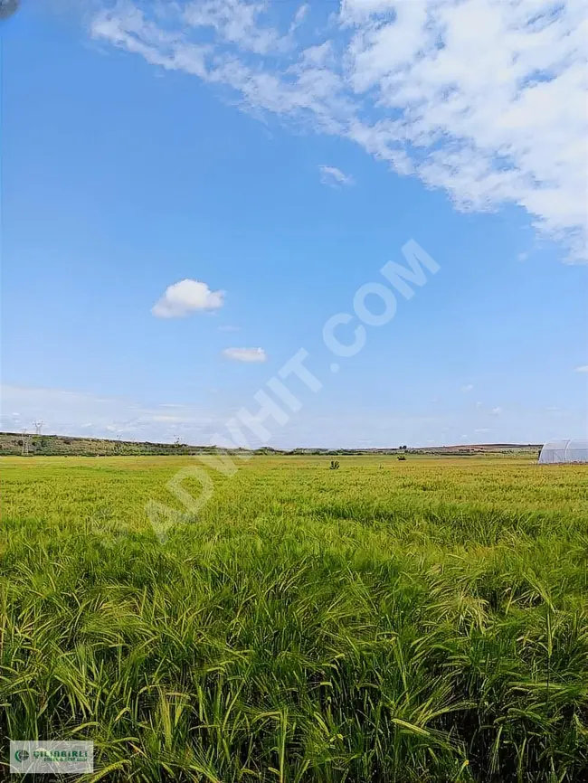 Land for urgent sale surrounded by a fence near the village of BABAESKİ MANDIRA in KIRKLARELİ province and near the village.