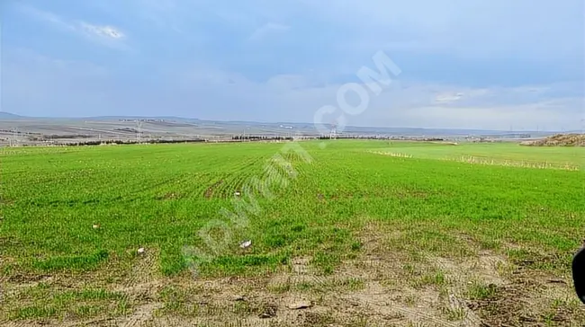 Independent agricultural land for sale with an area of 14,740 square meters located in the SİLİVRİ ALİPAŞA area.