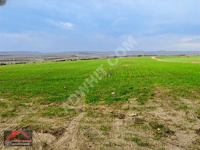 Independent agricultural land for sale with an area of 14,740 square meters located in the SİLİVRİ ALİPAŞA area.