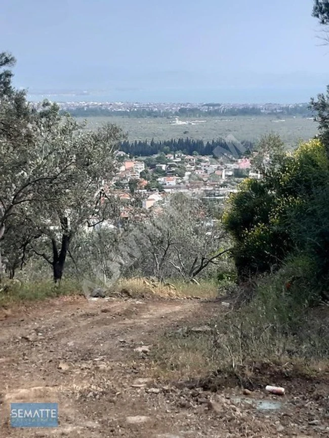 Land for sale with an area of 2095 square meters in the village of ZEYTİNLİ in the EDREMİT area, with a sea view