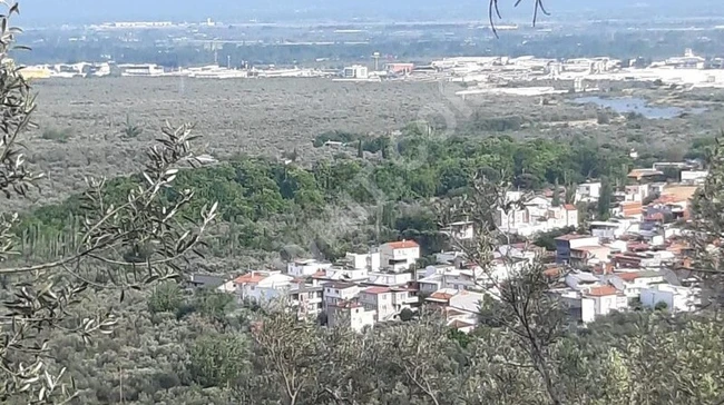 Land for sale with an area of 2095 square meters in the village of ZEYTİNLİ in the EDREMİT area, with a sea view