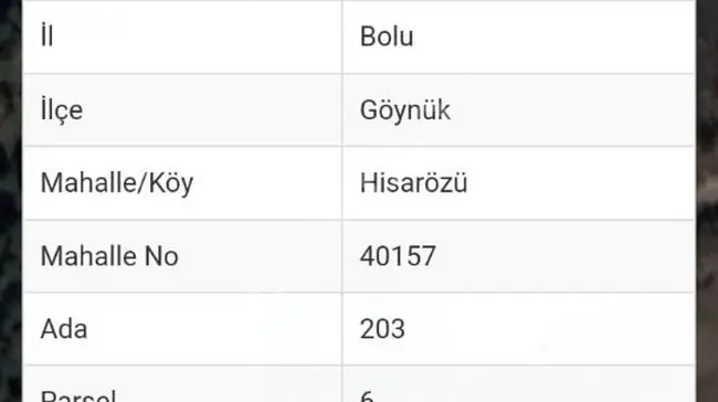 Bolu Göynük hisarözü 3.850 m2 yatırımlık arsa