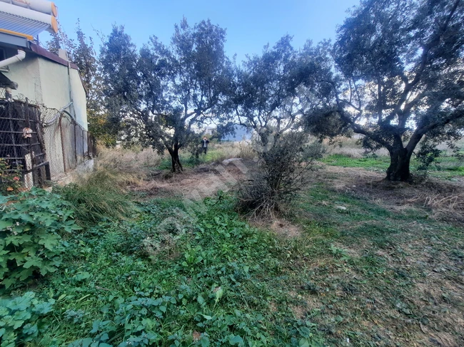 A piece of land measuring 137 square meters for summer use or as a hobby garden in Bursa Mudanya Mesudiye.