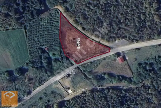 Opportunity: A plot of land surrounded by a stone wall on the asphalt road