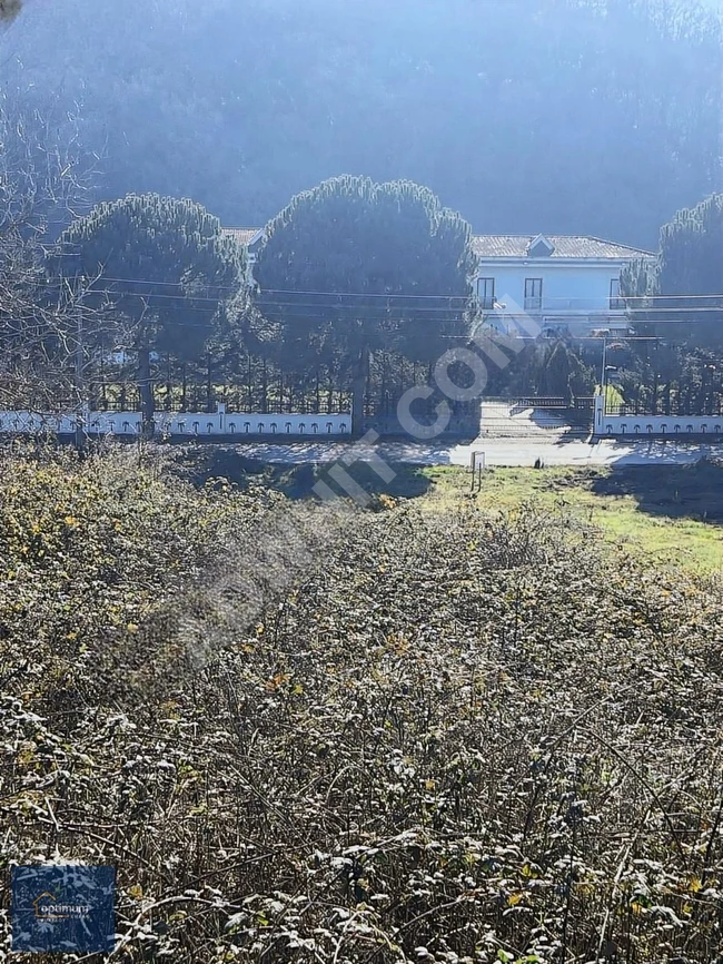 Land for sale with a single ownership document, suitable for building two stories in Samanlı, Yalova.