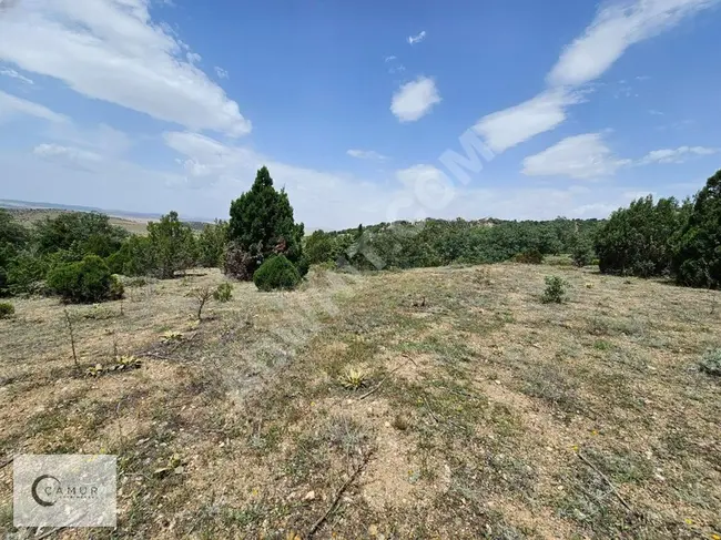 Land opportunity in ESKİŞEHİR ÇİFTELER from ÇAMUR Real Estate