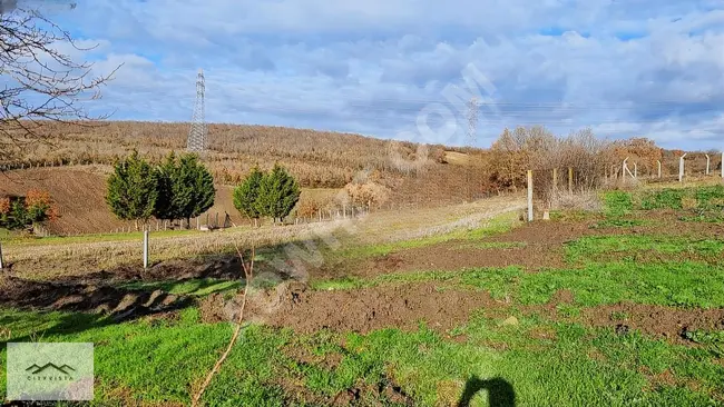 Land for sale, suitable for investment and construction in Silivri Büyük kılıçlı