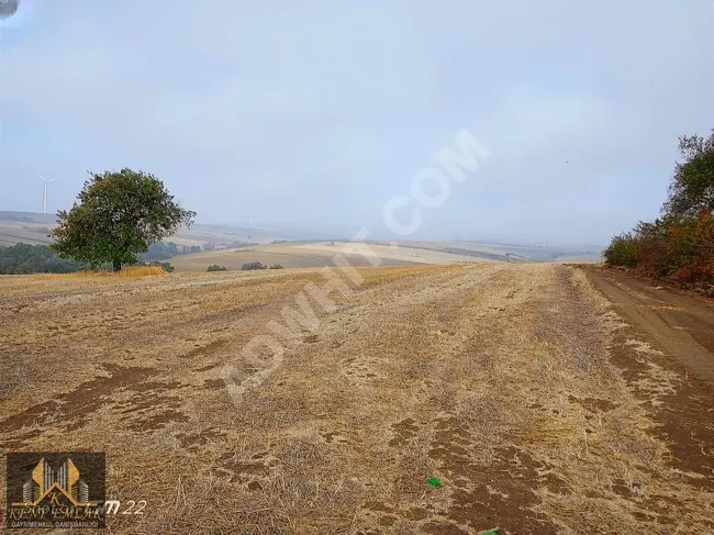 فرصة لشراء أرض زراعية بحصص في قرية TEKİRDAĞ ÇORLU MAKSUTLU