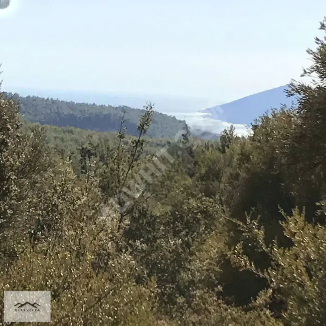 Land for sale in Muğla Milas Kızılağaç