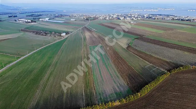 Unique opportunity: Agricultural land near the center of Silivri Alipaşa village