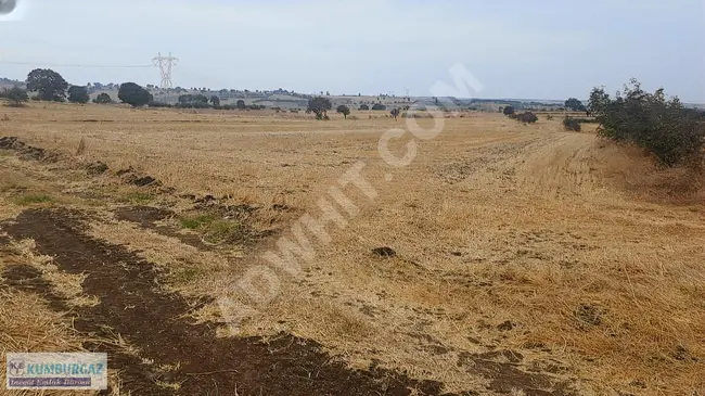 Land with a frontage on the cadastral road with a view of the sea in Çanakkale Biga Koruobaköyü.