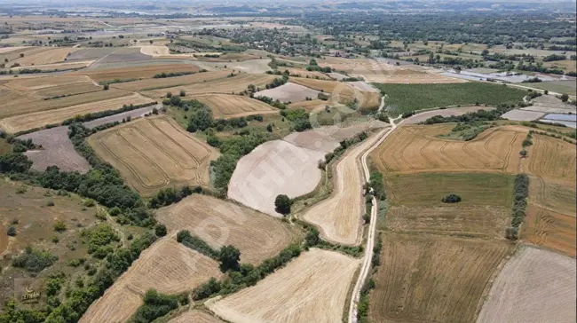 Land with an area of 4,900 square meters, facing the road with a single title deed in Kırklareli Pehlivanköy Kuştepe