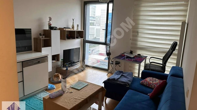 شقة مفروشة 1+1 للبيع في G Plus Divan Residence