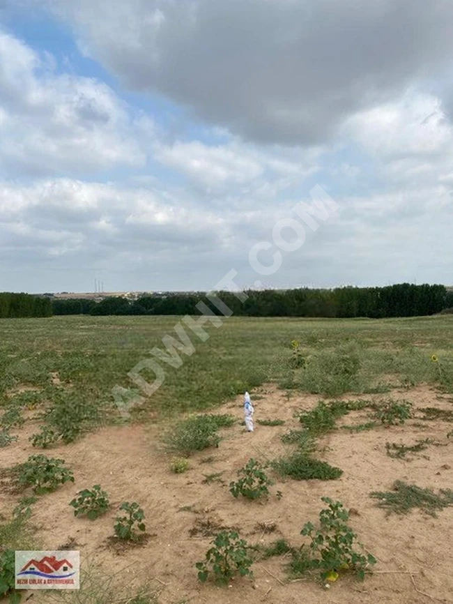 Suitable opportunity for agricultural land in Edirne.