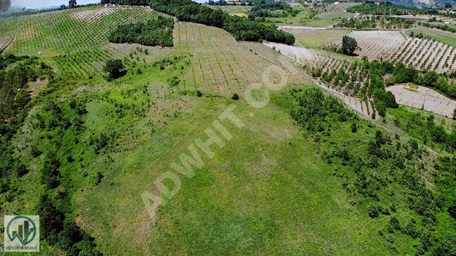 60 acres in KARAMÜRSEL AKÇAT