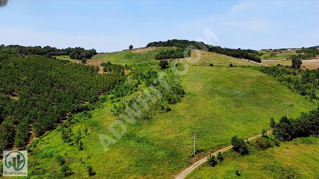 60 acres in KARAMÜRSEL AKÇAT