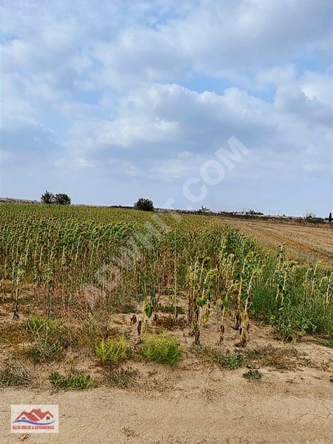 Suitable opportunity for agricultural land in Edirne.