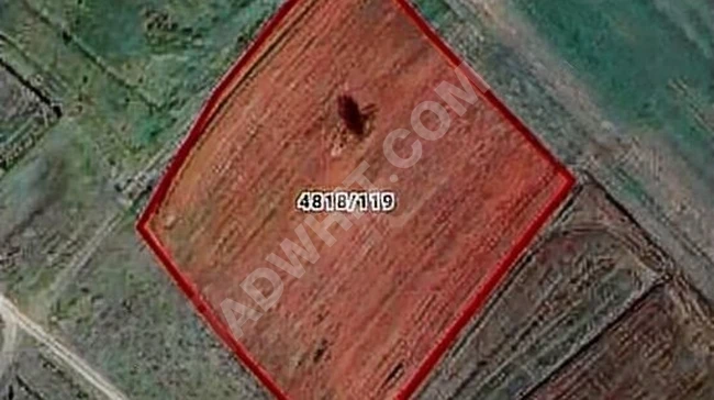 A single-deed farmland for sale in Silivri Büyükçavuşlu