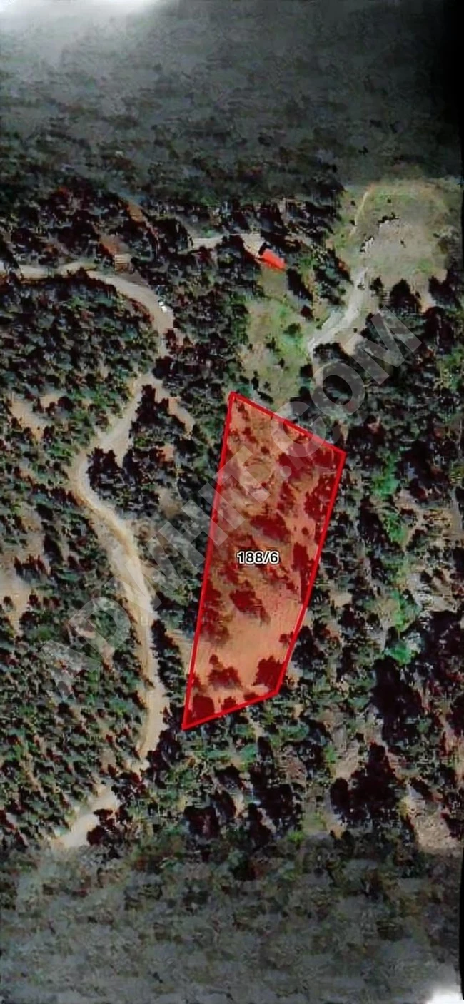 Agricultural land for sale with an area of 6000 m² in the GÜZEL YAYLA KIZILBAĞ area.