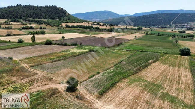 A plot of land measuring 1793 square meters close to the center in Bigadiç çam köy, an investment opportunity.