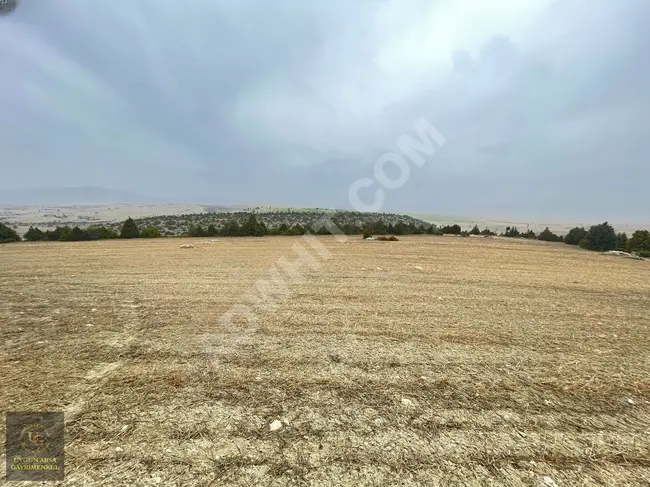 A plot of land measuring 4,391 square meters suitable in KÜTAHYA ASLANAPA YAĞCILAR