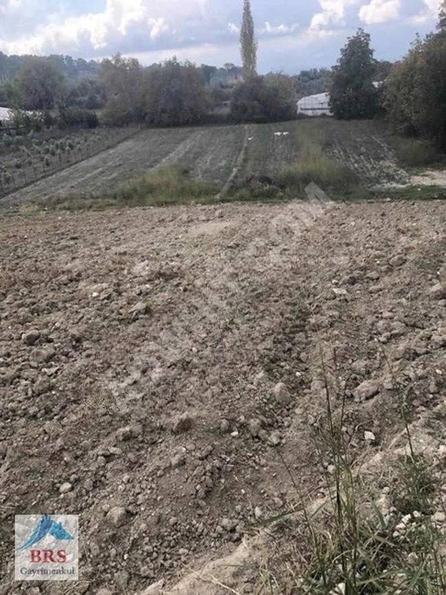 Land for sale at an attractive price in FETHIYE