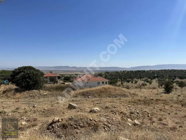 Farm Land with a License in DENİZLİ ÇİVRİL İMRALLI