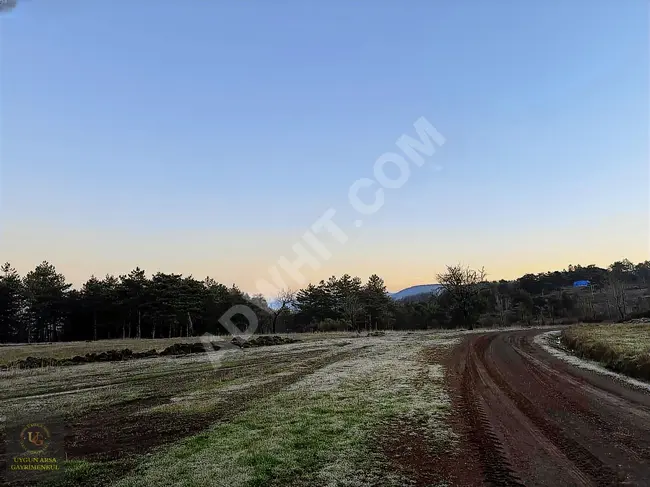 A suitable land with an area of 13,400 square meters inside the village in BURSA MUSTAFAKEMALPAŞA