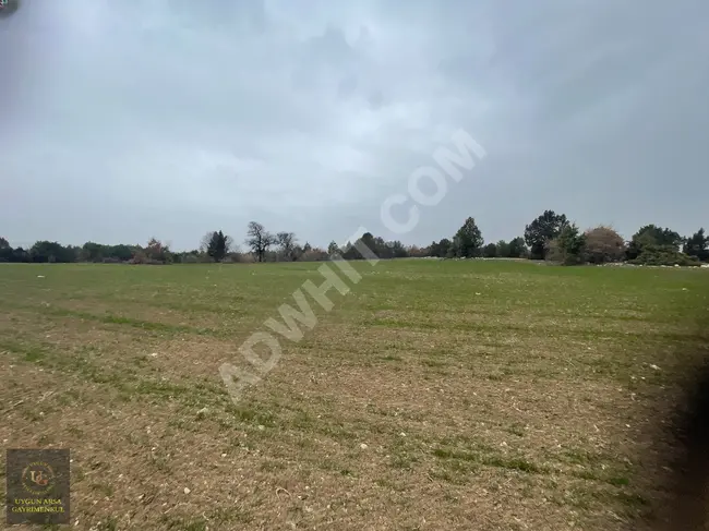 Suitable land plot with an area of 4,405 square meters in KÜTAHYA ASLANAPA YAĞCILAR