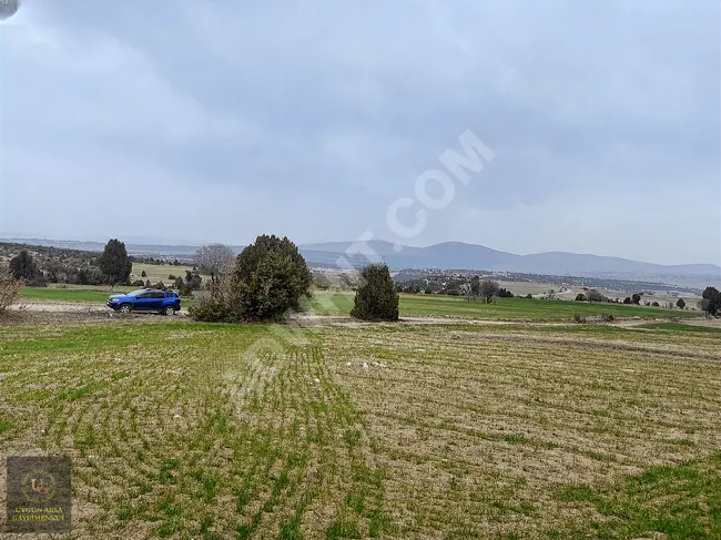 A suitable plot of land with an area of 7,455 square meters near the village in KÜTAHYA ASLANAPA YAĞCILAR.