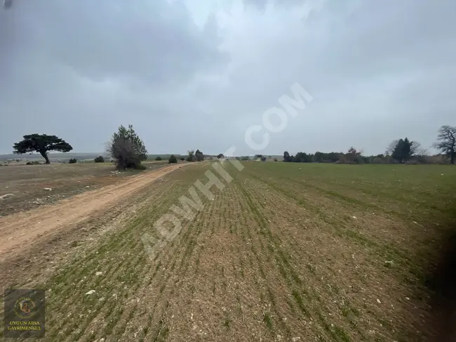 Suitable land plot with an area of 4,405 square meters in KÜTAHYA ASLANAPA YAĞCILAR