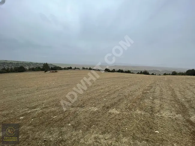 A plot of land measuring 4,391 square meters suitable in KÜTAHYA ASLANAPA YAĞCILAR