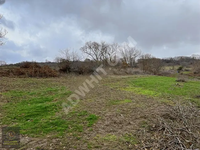 Land for sale with an area of 4,933 square meters suitable in BALIKESİR GÖNEN KALBURCU