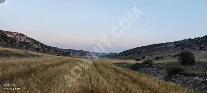 A suitable land plot with an area of 24,390 square meters in ESKIŞEHİR ALPU BUĞDÜZ.