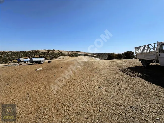 A suitable plot of land measuring 19,468 square meters in DENİZLİ ÇAL BAYIRALAN