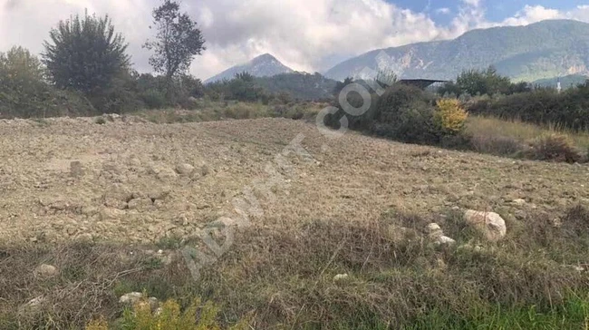 أرض للبيع بسعر مغري في FETHIYE