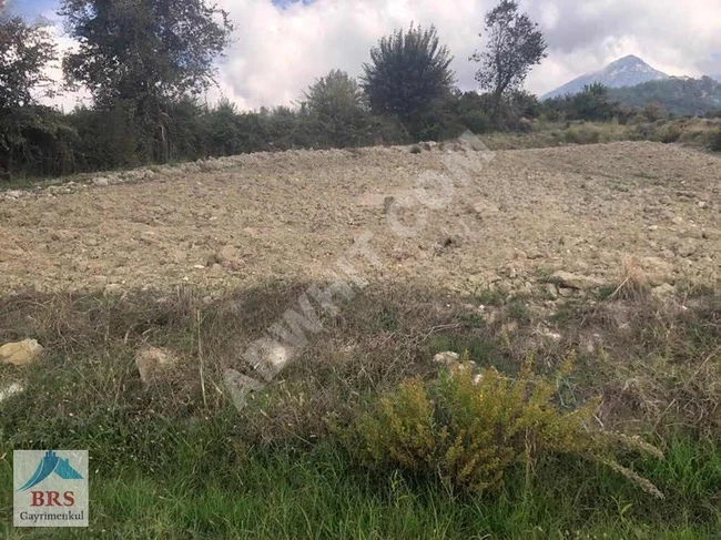 Land for sale at an attractive price in FETHIYE