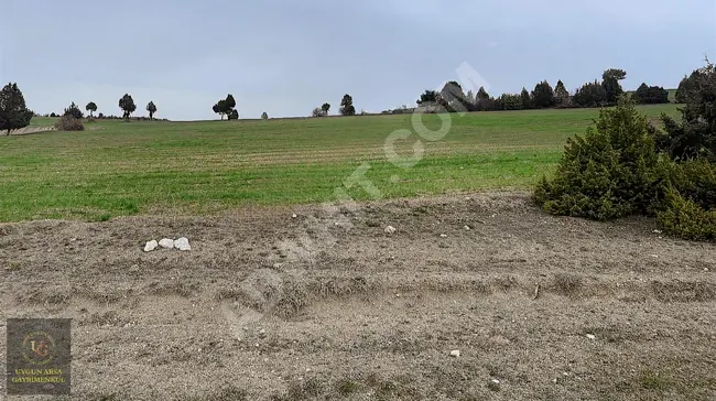 Suitable land plot with an area of 4,405 square meters in KÜTAHYA ASLANAPA YAĞCILAR