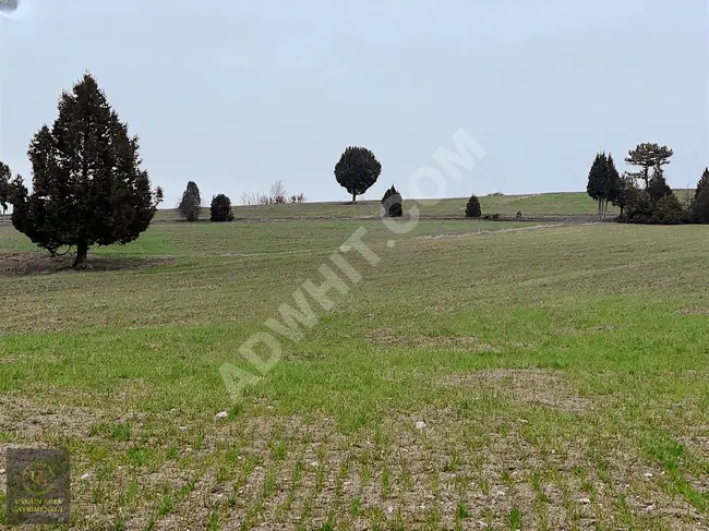 A suitable plot of land with an area of 7,455 square meters near the village in KÜTAHYA ASLANAPA YAĞCILAR.