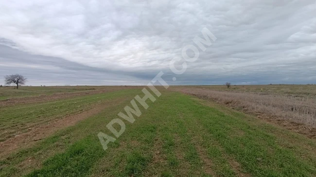 Land for sale on the official road in the neighborhood of TEKIRDAĞ MALKARA KOZYÖRÜK