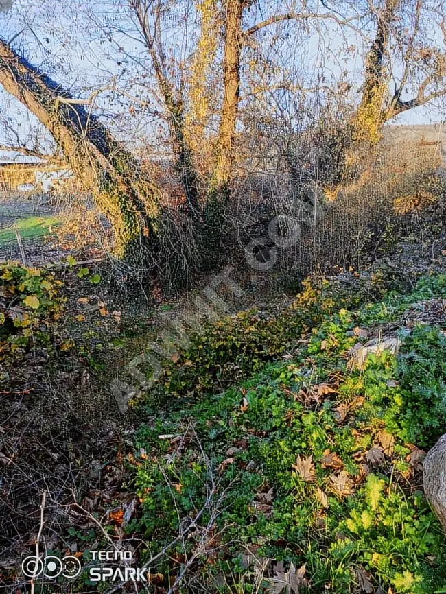 Agricultural land for sale in Biga Hacıköy