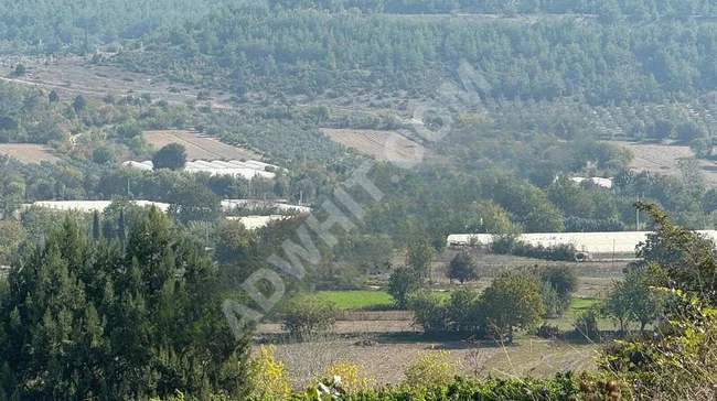 An agricultural land with an area of 938 square meters for sale in the center of BİLECİK can be exchanged for a car.