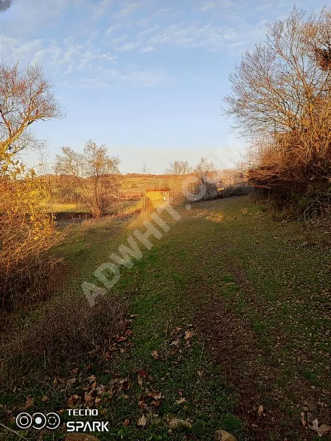 Agricultural land for sale in Biga Hacıköy