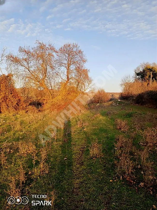 Agricultural land for sale in Biga Hacıköy