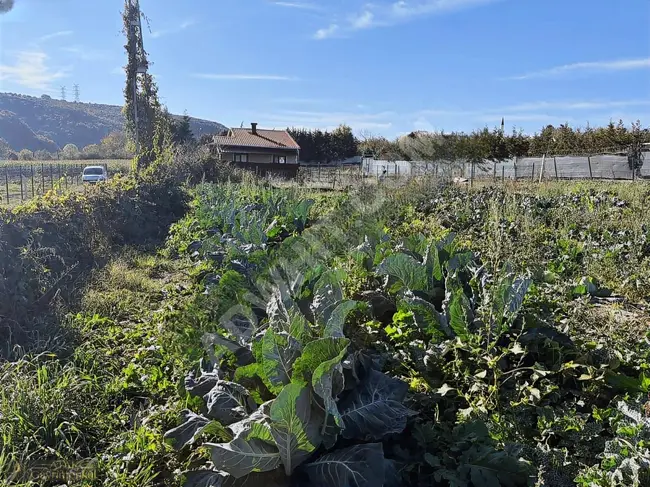 A plot of land measuring 730 square meters within the development plan in the village center of ÇATALCA İNCEĞİZ