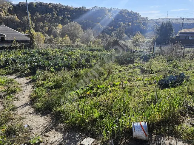 ÇATALCA İNCEĞİZ KÖY MERKEZİNDE İMAR PLANI İÇİNDE 730 M2 ARSA