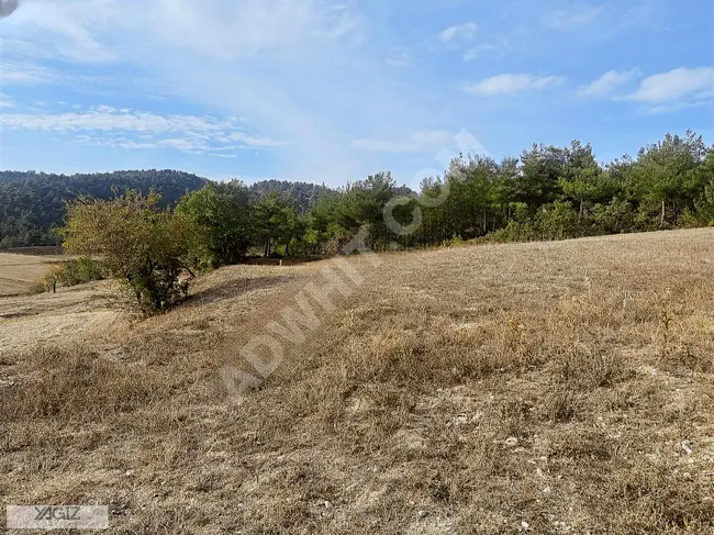 Land for sale in Ibrahimozu Village, Goynuk, Bolu