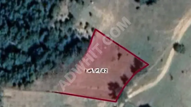 Plot of 3158 m² for sale in Balıkesir Havran Kocaseyit Village