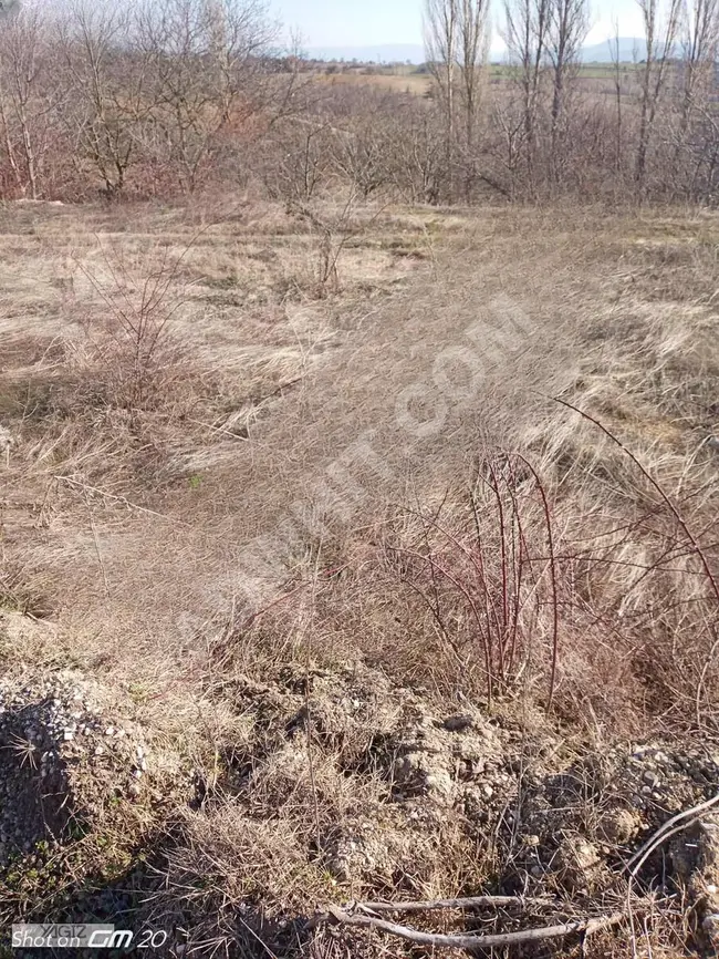 Agricultural land for sale in SAKARYA TARAKLI AKÇPNR from YAĞIZ YAPI REAL ESTATE.